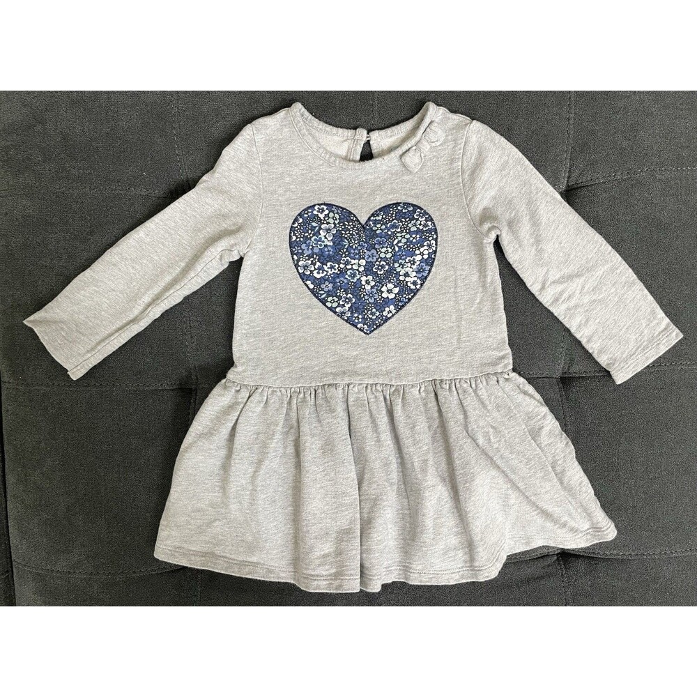BabyGap Girls 3T Blue Floral Heart Long Sleeve Gray Fall/Winter Dress